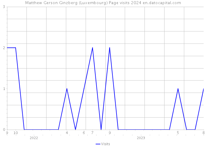 Matthew Gerson Ginzberg (Luxembourg) Page visits 2024 
