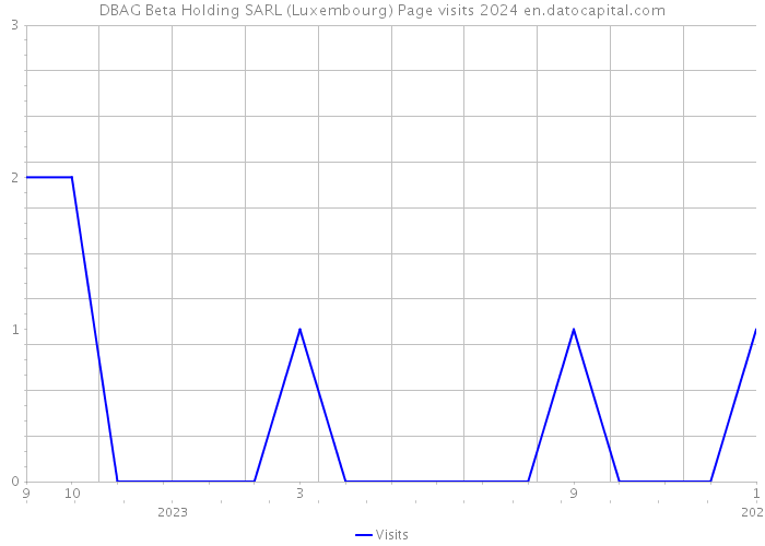 DBAG Beta Holding SARL (Luxembourg) Page visits 2024 