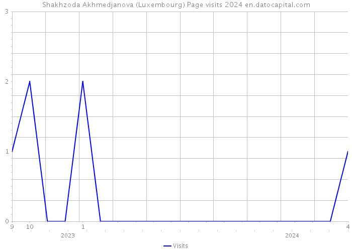 Shakhzoda Akhmedjanova (Luxembourg) Page visits 2024 