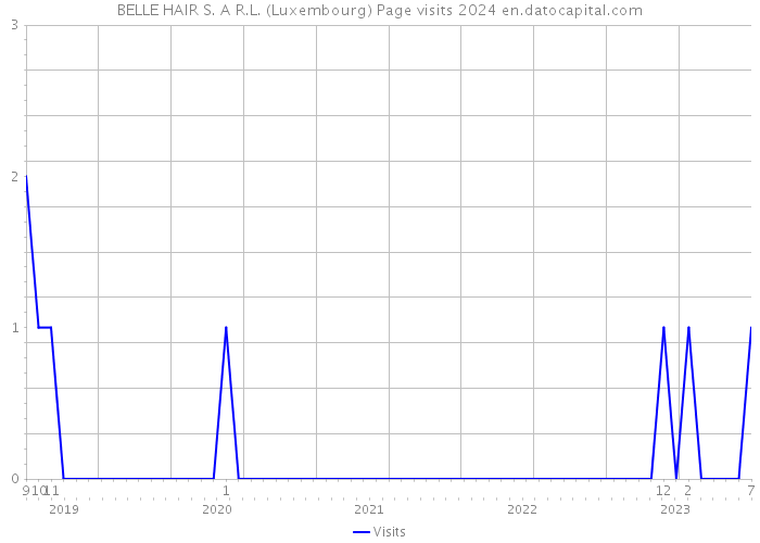 BELLE HAIR S. A R.L. (Luxembourg) Page visits 2024 