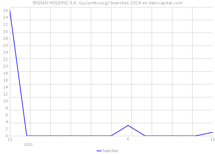 ENZIAN HOLDING S.A. (Luxembourg) Searches 2024 