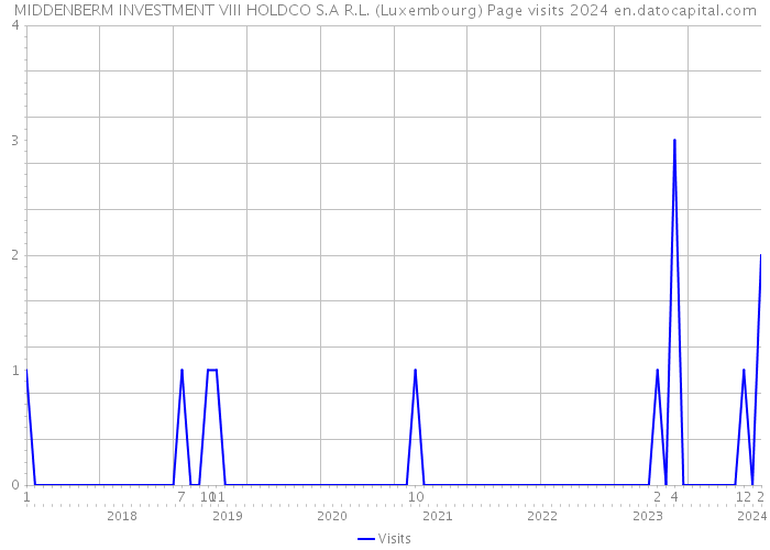 MIDDENBERM INVESTMENT VIII HOLDCO S.A R.L. (Luxembourg) Page visits 2024 