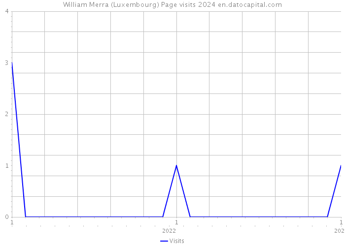 William Merra (Luxembourg) Page visits 2024 