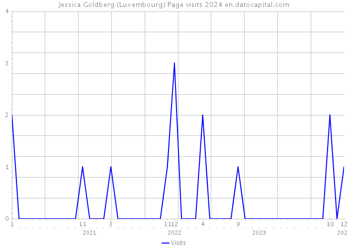 Jessica Goldberg (Luxembourg) Page visits 2024 