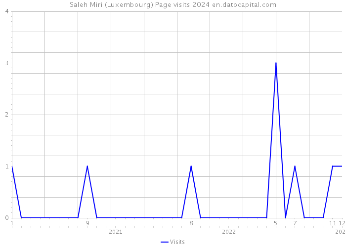 Saleh Miri (Luxembourg) Page visits 2024 