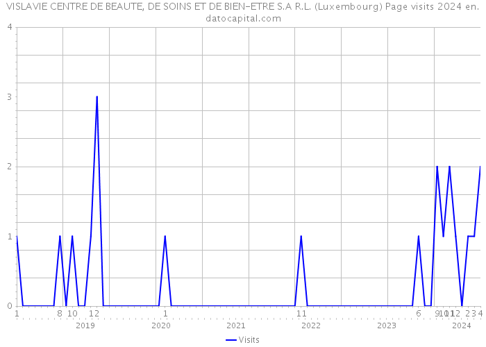 VISLAVIE CENTRE DE BEAUTE, DE SOINS ET DE BIEN-ETRE S.A R.L. (Luxembourg) Page visits 2024 