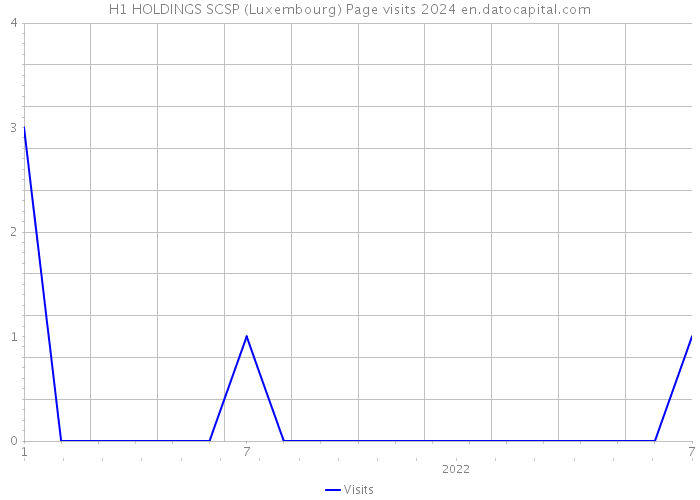 H1 HOLDINGS SCSP (Luxembourg) Page visits 2024 