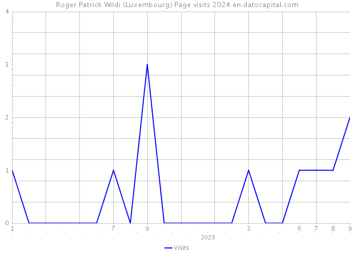 Roger Patrick Wildi (Luxembourg) Page visits 2024 