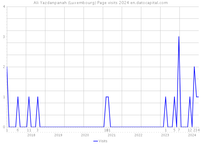 Ali Yazdanpanah (Luxembourg) Page visits 2024 