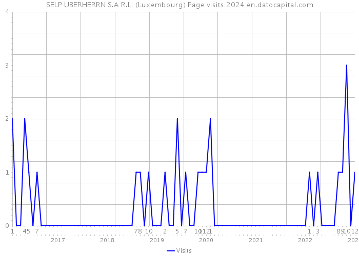 SELP UBERHERRN S.A R.L. (Luxembourg) Page visits 2024 