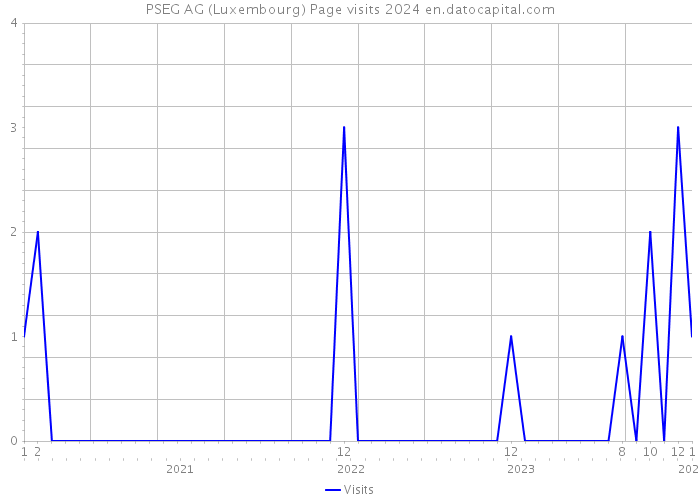 PSEG AG (Luxembourg) Page visits 2024 