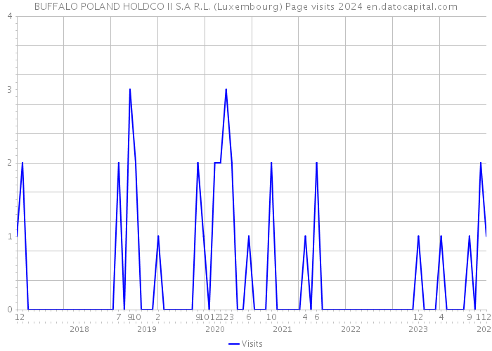 BUFFALO POLAND HOLDCO II S.A R.L. (Luxembourg) Page visits 2024 