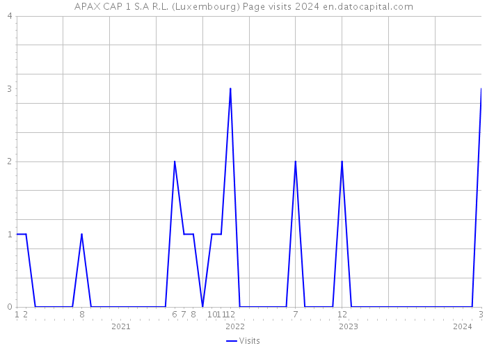 APAX CAP 1 S.A R.L. (Luxembourg) Page visits 2024 