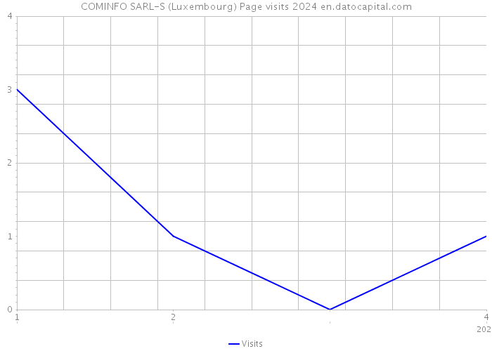 COMINFO SARL-S (Luxembourg) Page visits 2024 