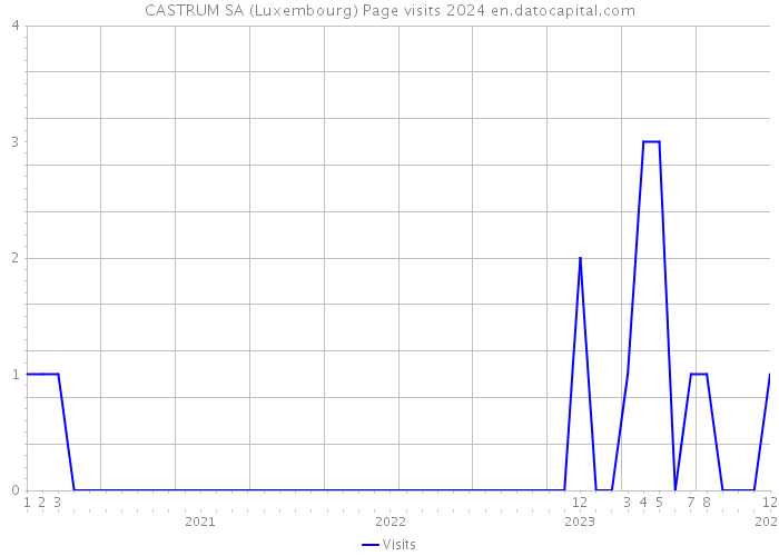 CASTRUM SA (Luxembourg) Page visits 2024 
