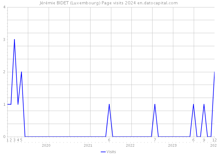 Jérémie BIDET (Luxembourg) Page visits 2024 