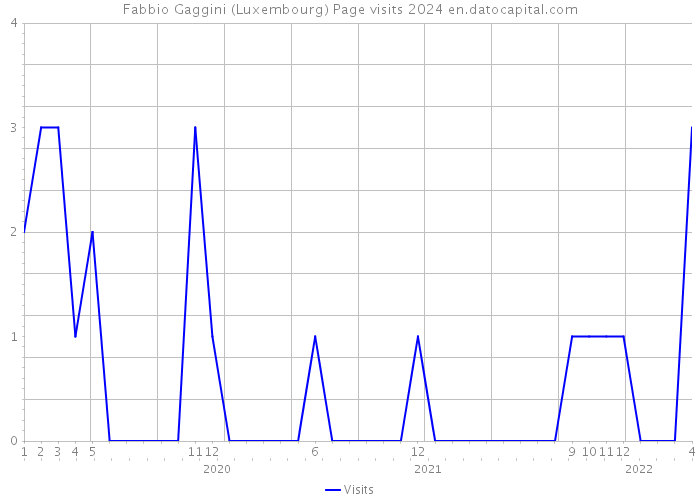 Fabbio Gaggini (Luxembourg) Page visits 2024 