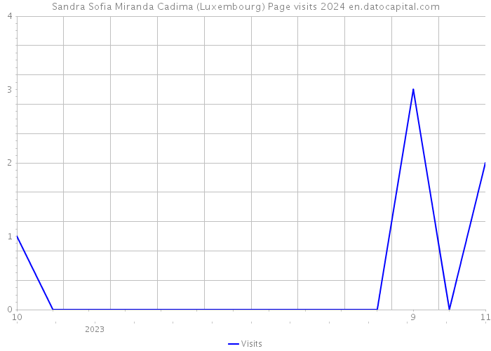 Sandra Sofia Miranda Cadima (Luxembourg) Page visits 2024 