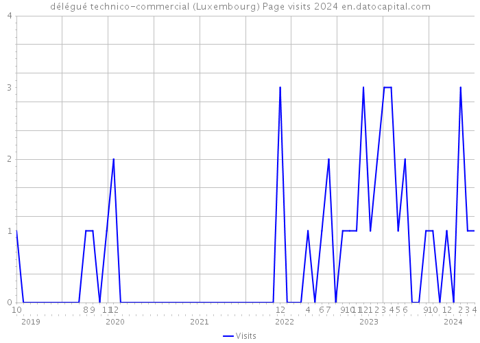 délégué technico-commercial (Luxembourg) Page visits 2024 