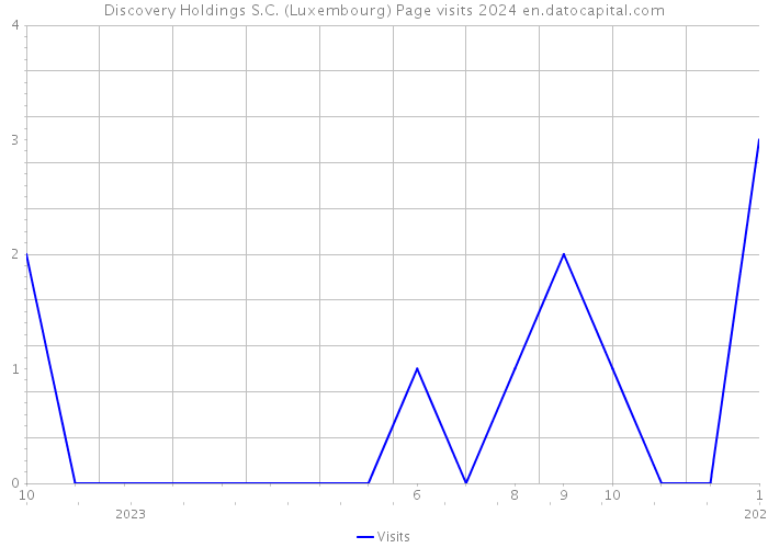 Discovery Holdings S.C. (Luxembourg) Page visits 2024 