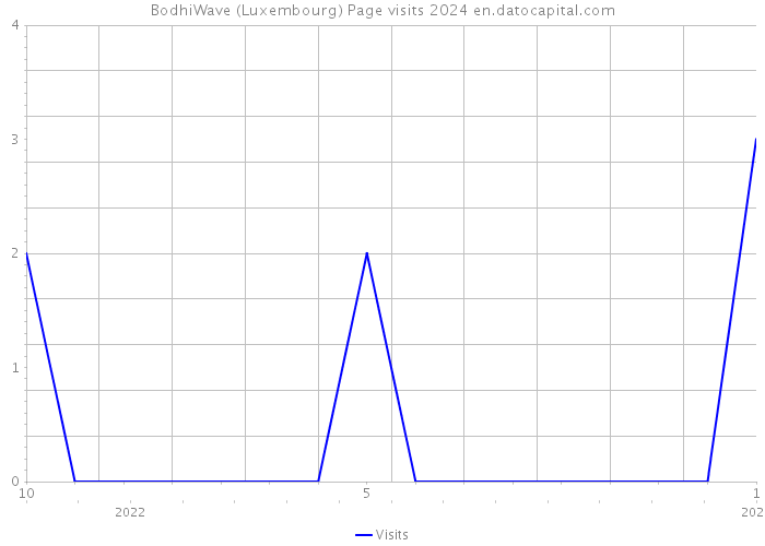 BodhiWave (Luxembourg) Page visits 2024 