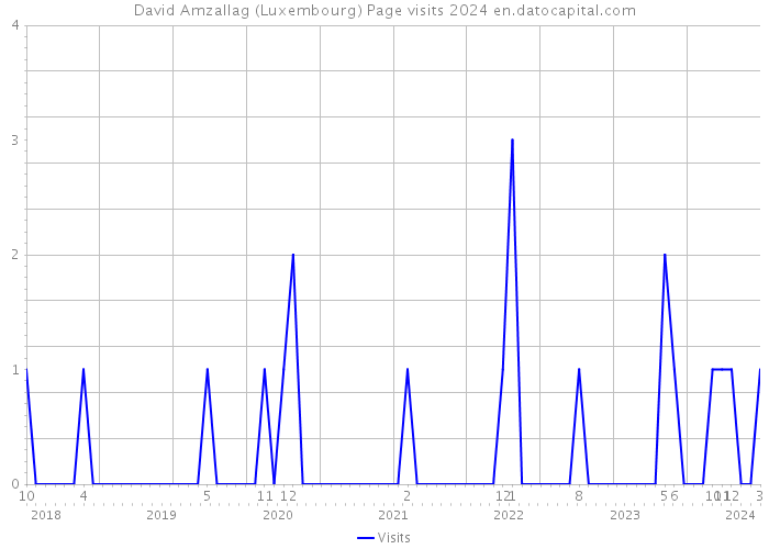 David Amzallag (Luxembourg) Page visits 2024 
