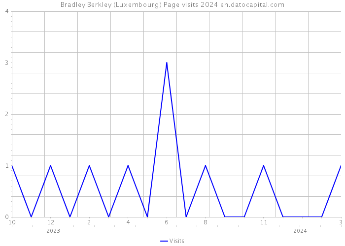 Bradley Berkley (Luxembourg) Page visits 2024 