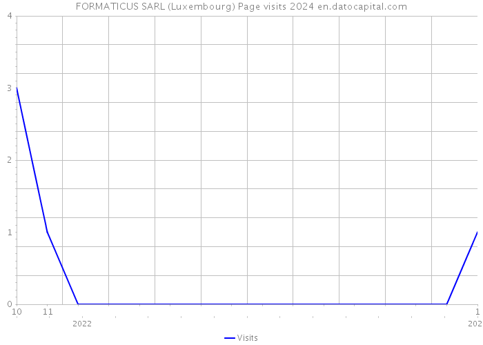 FORMATICUS SARL (Luxembourg) Page visits 2024 