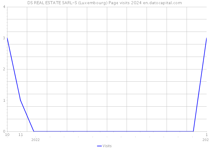 DS REAL ESTATE SARL-S (Luxembourg) Page visits 2024 