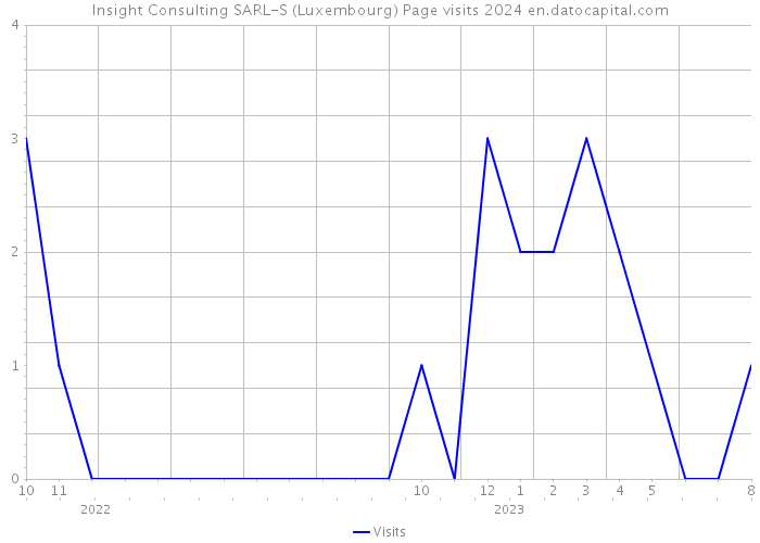 Insight Consulting SARL-S (Luxembourg) Page visits 2024 