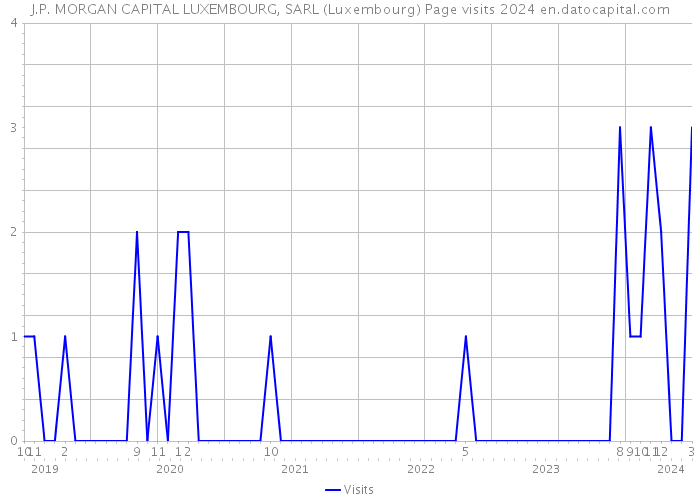 J.P. MORGAN CAPITAL LUXEMBOURG, SARL (Luxembourg) Page visits 2024 