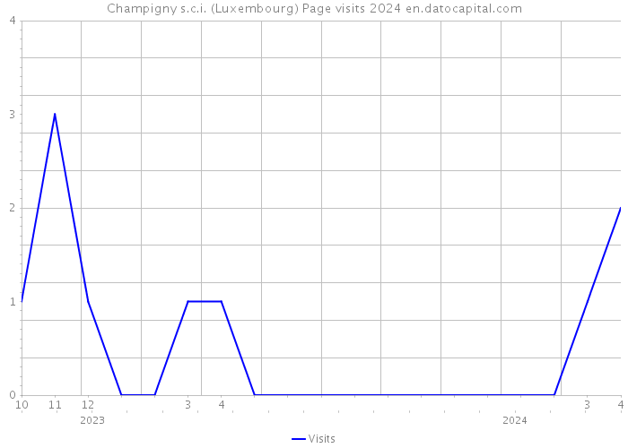 Champigny s.c.i. (Luxembourg) Page visits 2024 