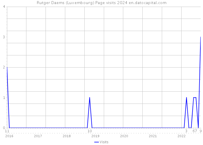 Rutger Daems (Luxembourg) Page visits 2024 
