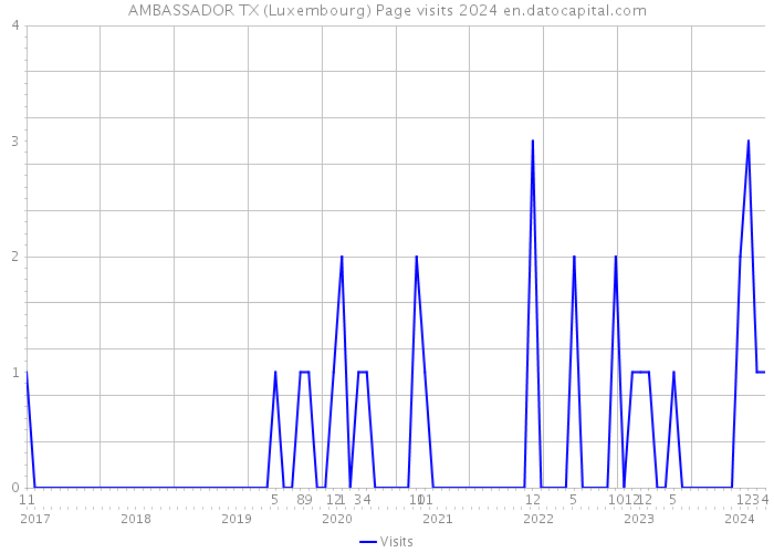 AMBASSADOR TX (Luxembourg) Page visits 2024 