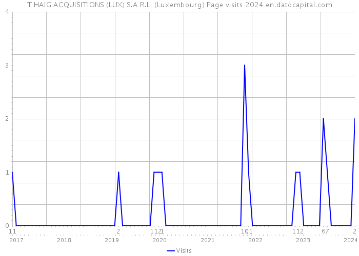 T HAIG ACQUISITIONS (LUX) S.A R.L. (Luxembourg) Page visits 2024 