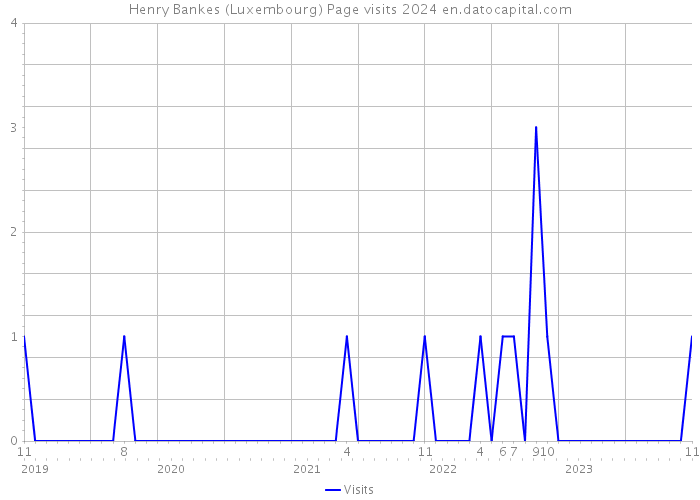 Henry Bankes (Luxembourg) Page visits 2024 