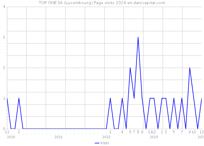 TOP ONE SA (Luxembourg) Page visits 2024 