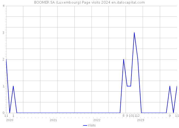 BOOMER SA (Luxembourg) Page visits 2024 
