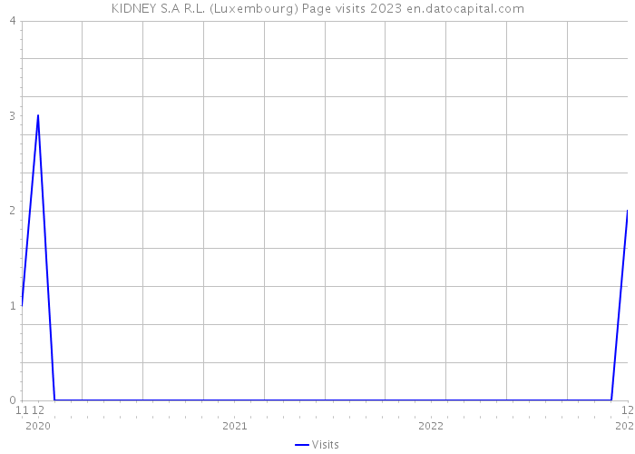 KIDNEY S.A R.L. (Luxembourg) Page visits 2023 