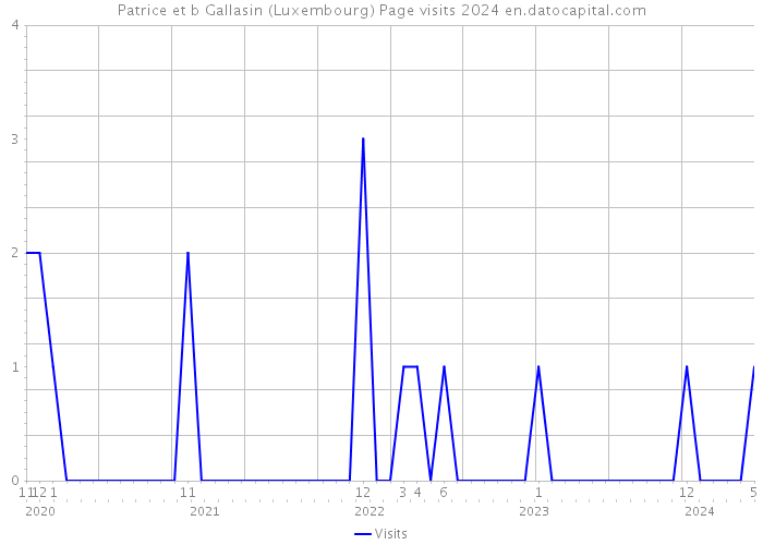 Patrice et b Gallasin (Luxembourg) Page visits 2024 