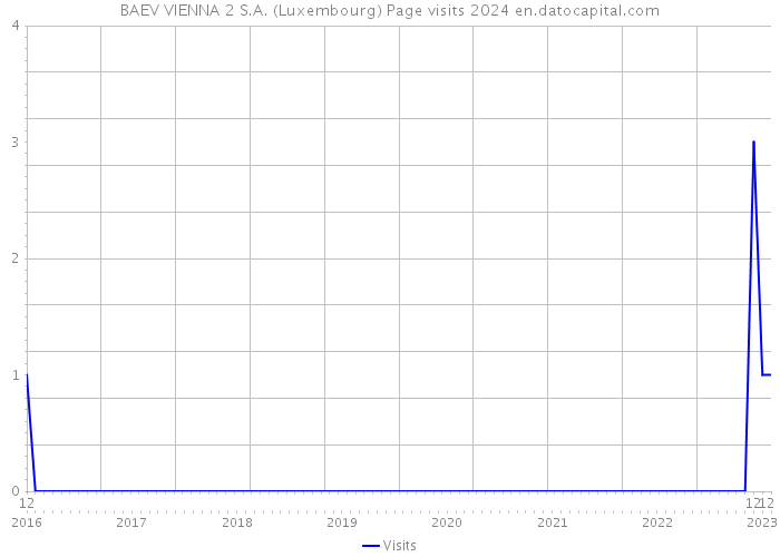 BAEV VIENNA 2 S.A. (Luxembourg) Page visits 2024 