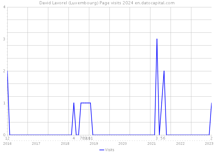 David Lavorel (Luxembourg) Page visits 2024 