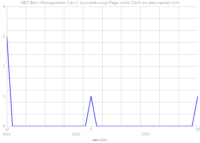 NEO Büro Management S.à r.l. (Luxembourg) Page visits 2024 