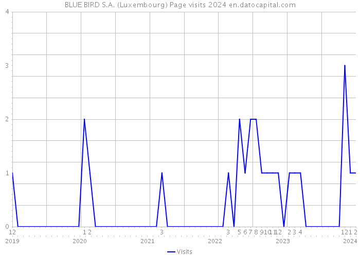 BLUE BIRD S.A. (Luxembourg) Page visits 2024 