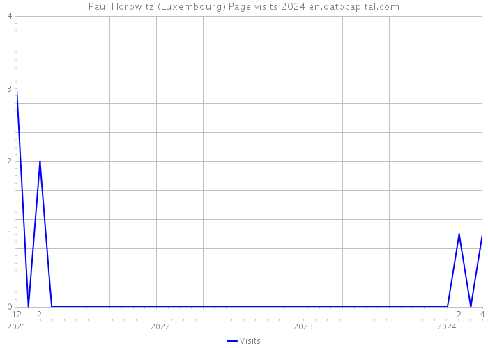 Paul Horowitz (Luxembourg) Page visits 2024 