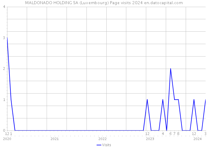 MALDONADO HOLDING SA (Luxembourg) Page visits 2024 