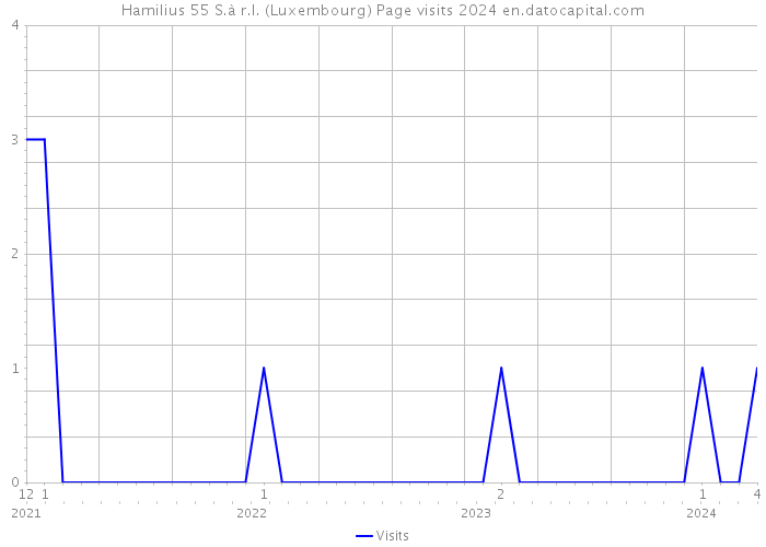 Hamilius 55 S.à r.l. (Luxembourg) Page visits 2024 