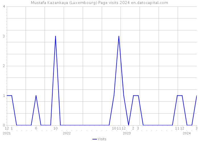 Mustafa Kazankaya (Luxembourg) Page visits 2024 
