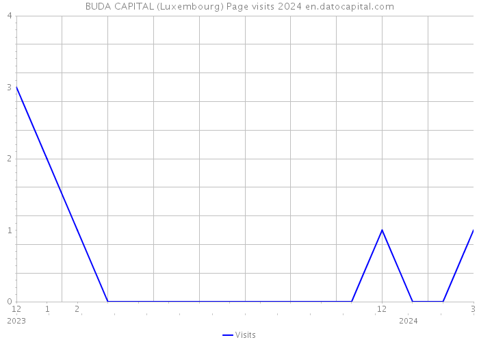 BUDA CAPITAL (Luxembourg) Page visits 2024 