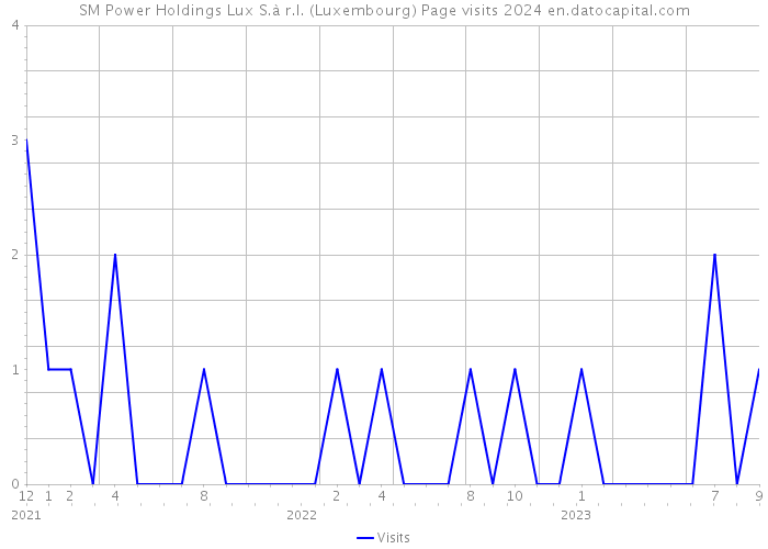 SM Power Holdings Lux S.à r.l. (Luxembourg) Page visits 2024 